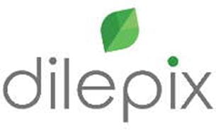 Logo Dilepix