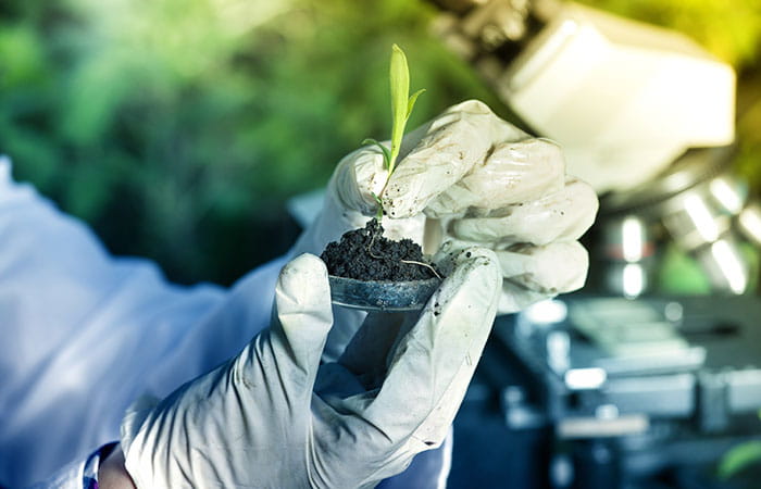 Petite plantes dans les mains d'un scientifique