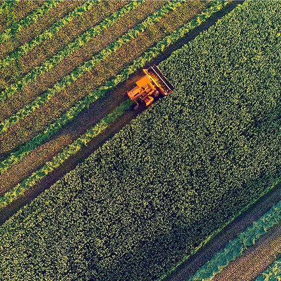 Aerial view of a combine harvester in a field during harvest