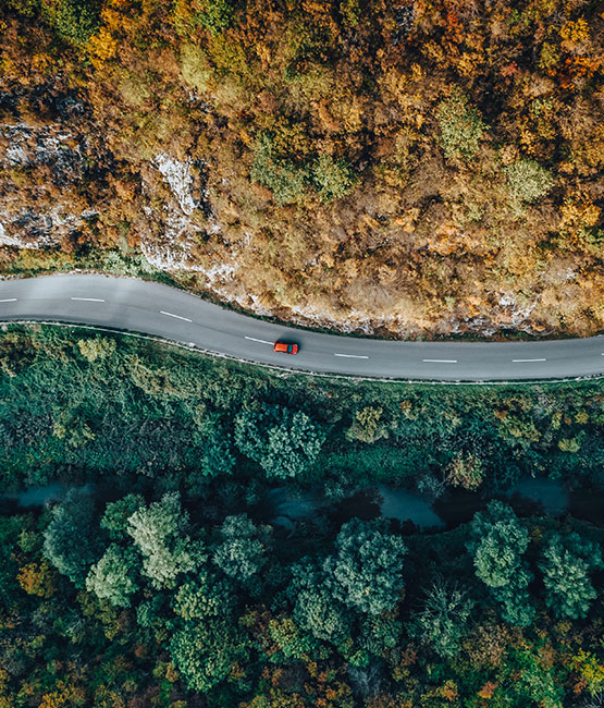 Car on a road between a forest and the sea